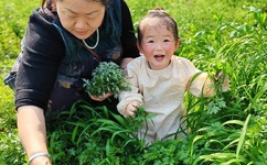 优优人艺体图片